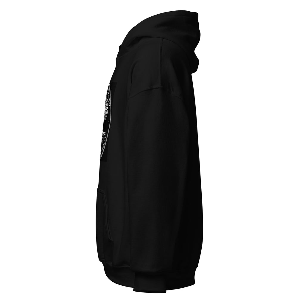 Rooted in Truth black Christian hoodie, left view